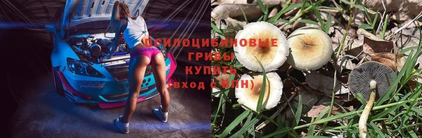 кокс Аркадак