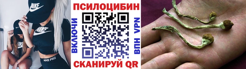 Галлюциногенные грибы MAGIC MUSHROOMS  хочу наркоту  ОМГ ОМГ зеркало  Теберда 